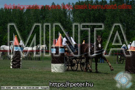 Mintakép 20260531-1554