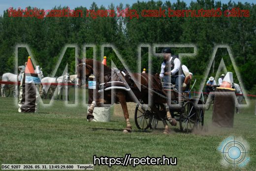 Mintakép 20260531-1555