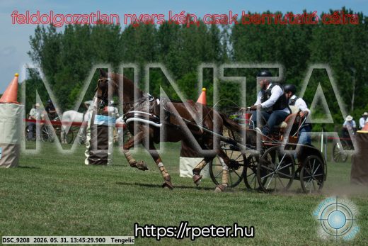Mintakép 20260531-1556