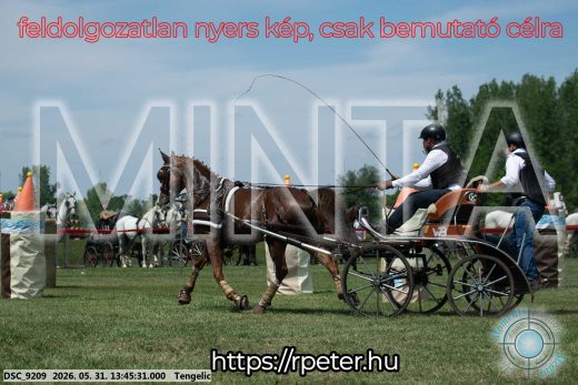 Mintakép 20260531-1557