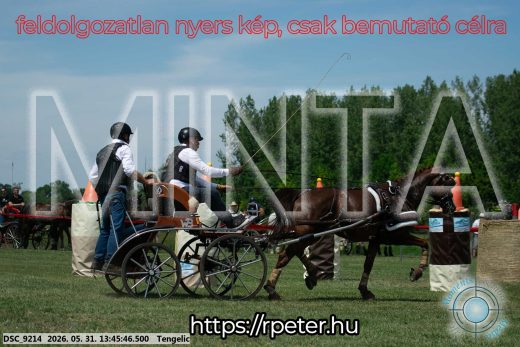 Mintakép 20260531-1559