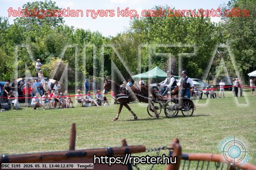 Mintakép 20260531-1560