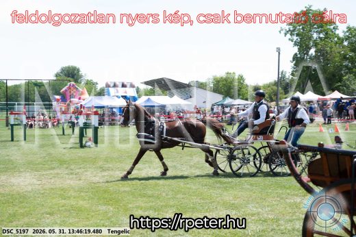 Mintakép 20260531-1561
