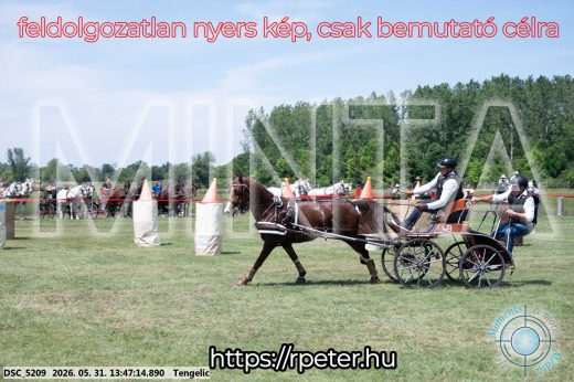 Mintakép 20260531-1564