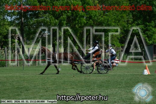 Mintakép 20260531-1567