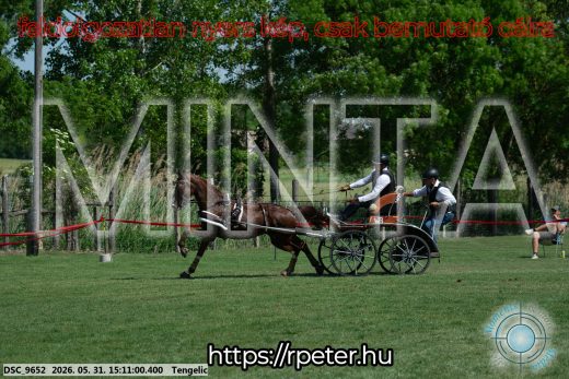 Mintakép 20260531-1568