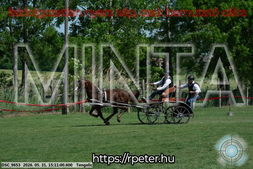 Mintakép 20260531-1569