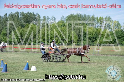 Mintakép 20260531-1572