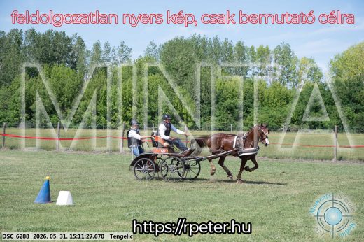Mintakép 20260531-1573