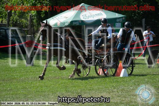 Mintakép 20260531-1575