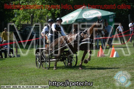 Mintakép 20260531-1576