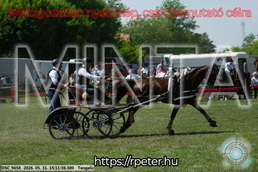 Mintakép 20260531-1578