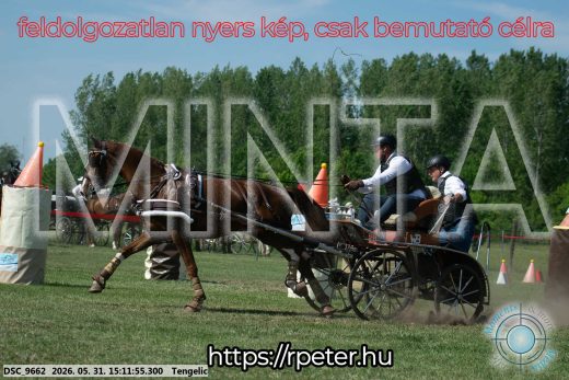 Mintakép 20260531-1579