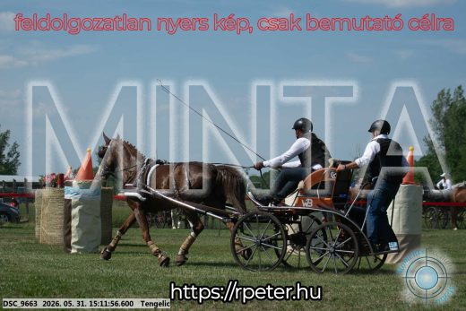Mintakép 20260531-1580
