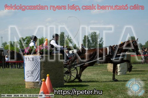Mintakép 20260531-1581