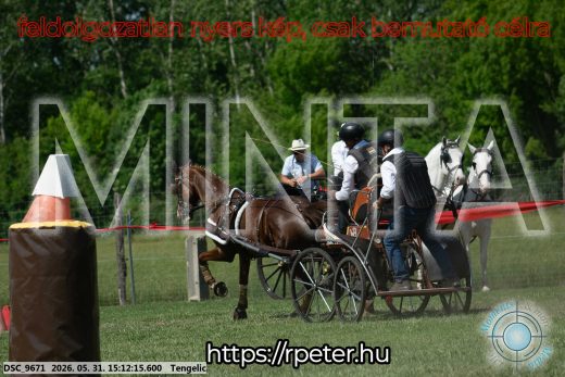 Mintakép 20260531-1582