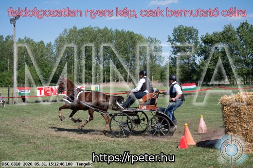 Mintakép 20260531-1583