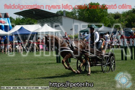 Mintakép 20260531-1584
