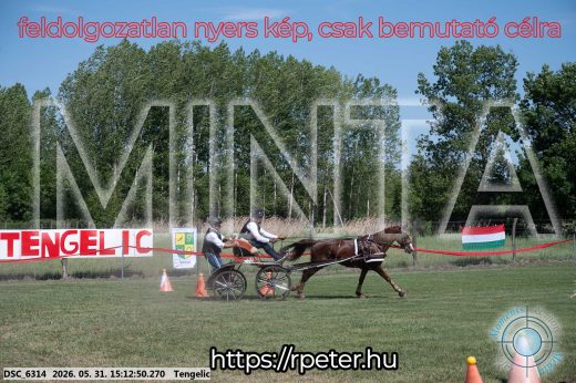Mintakép 20260531-1585