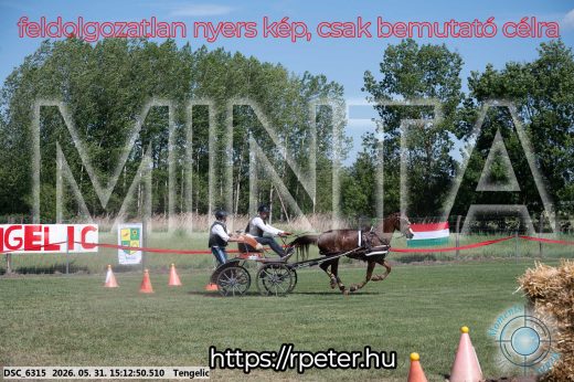 Mintakép 20260531-1586