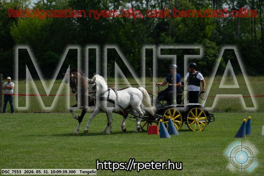 Mintakép 20260531-1592