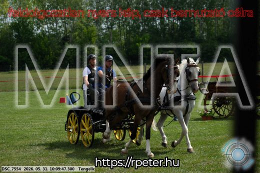 Mintakép 20260531-1593