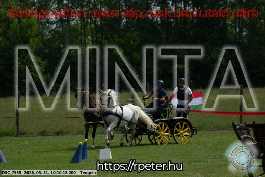 Mintakép 20260531-1594