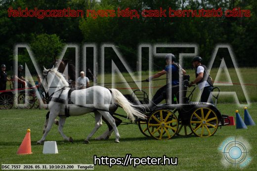 Mintakép 20260531-1596