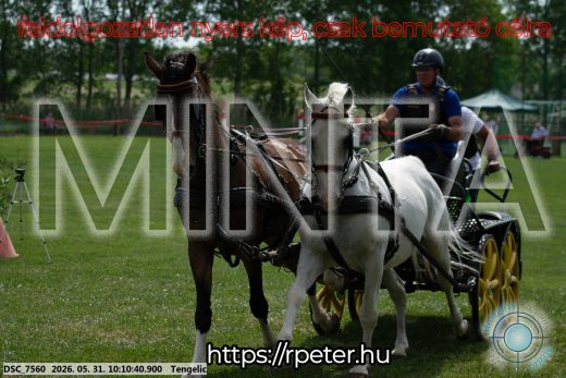 Mintakép 20260531-1599