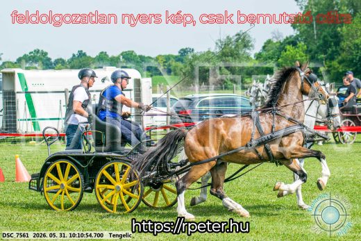 Mintakép 20260531-1600