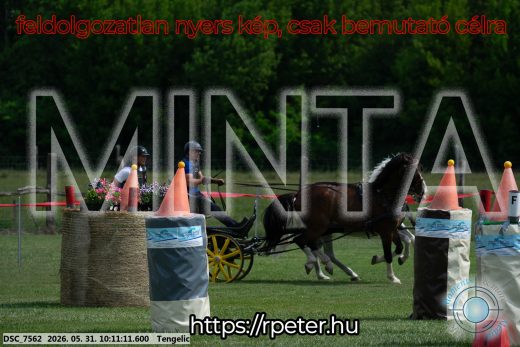 Mintakép 20260531-1601