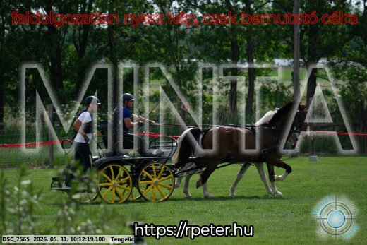 Mintakép 20260531-1604
