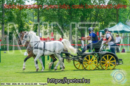 Mintakép 20260531-1605