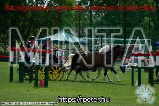 Mintakép 20260531-1606