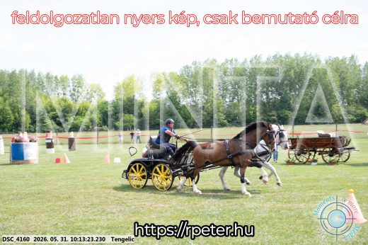 Mintakép 20260531-1609