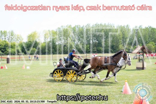 Mintakép 20260531-1610