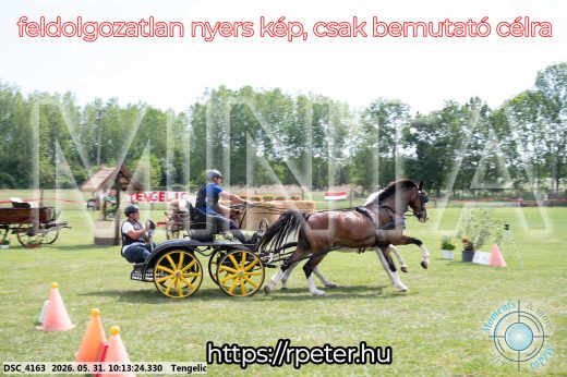 Mintakép 20260531-1612