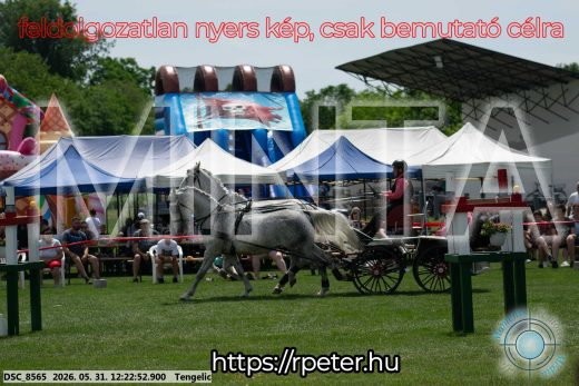 Mintakép 20260531-1616