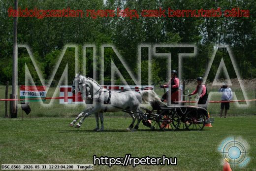 Mintakép 20260531-1620