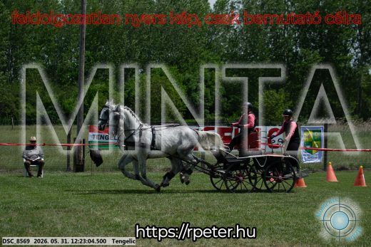 Mintakép 20260531-1621