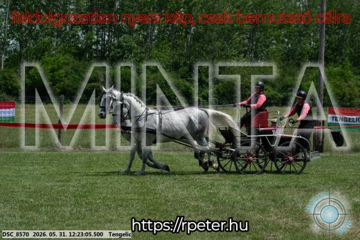 Mintakép 20260531-1622