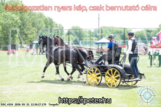 Mintakép 20260531-1628