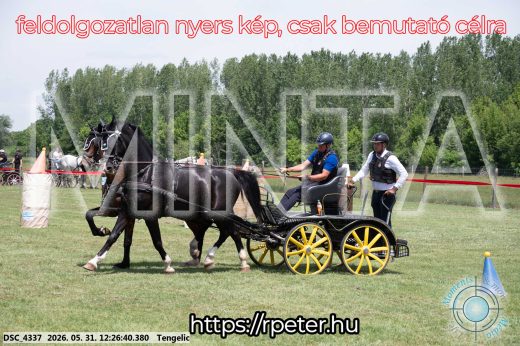 Mintakép 20260531-1630