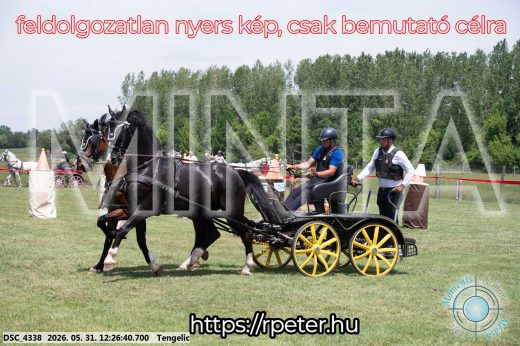 Mintakép 20260531-1631