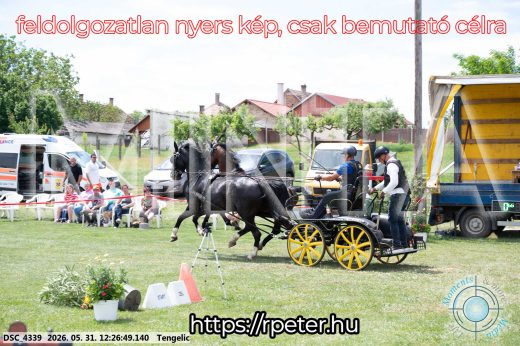 Mintakép 20260531-1632