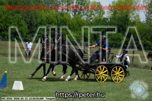 Mintakép 20260531-1633