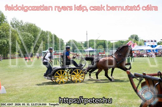 Mintakép 20260531-1636