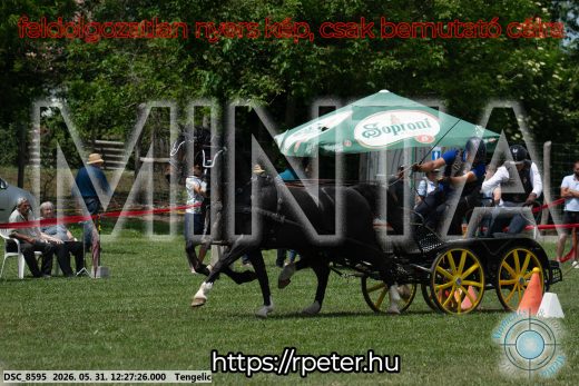 Mintakép 20260531-1637