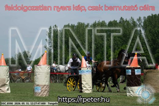 Mintakép 20260531-1641