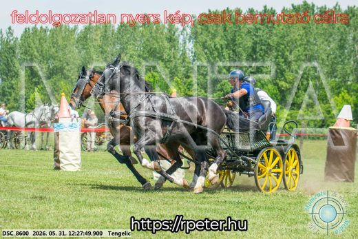 Mintakép 20260531-1643